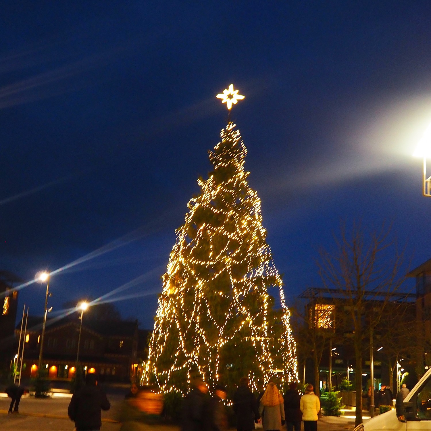 Billede af juletræet på Torvet