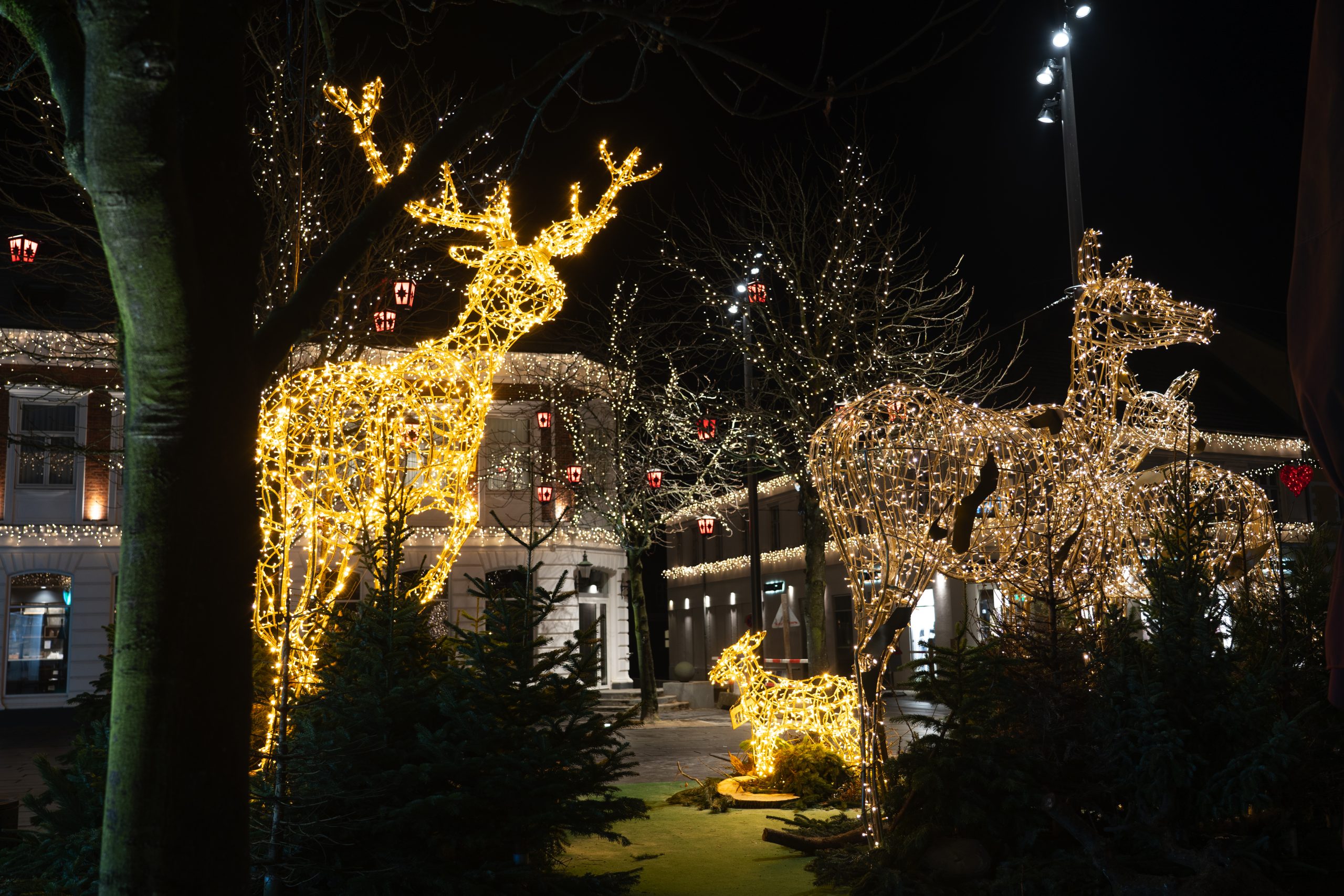 Julebelysning i Herning, Foto: Herning Kommune